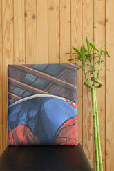 Bedsheets - Queen premium soft cotton bedsheet Digital print DD (spider) 2.24*2.74 mtr